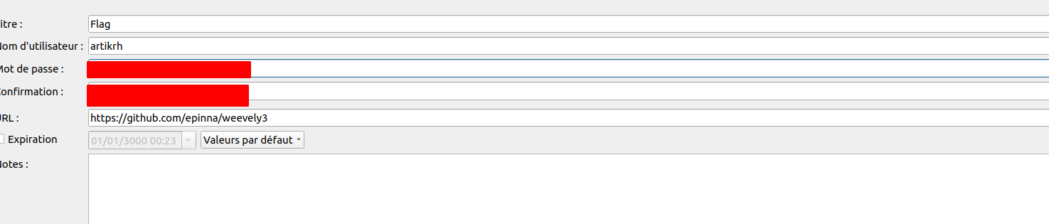 KeePass : détail de l'entrée Flag dont le mot de passe masqué contient le flag